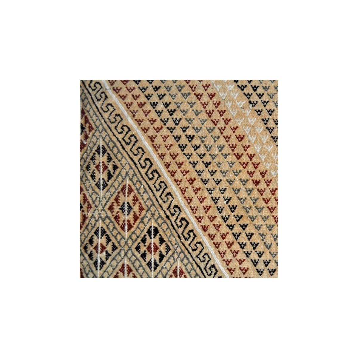 Alfombra bereber Alfombra grande Margoum Ledna 200x310 Beige (Hecho a mano, Lana) Alfombra margoum tunecina de la ciudad de Kair