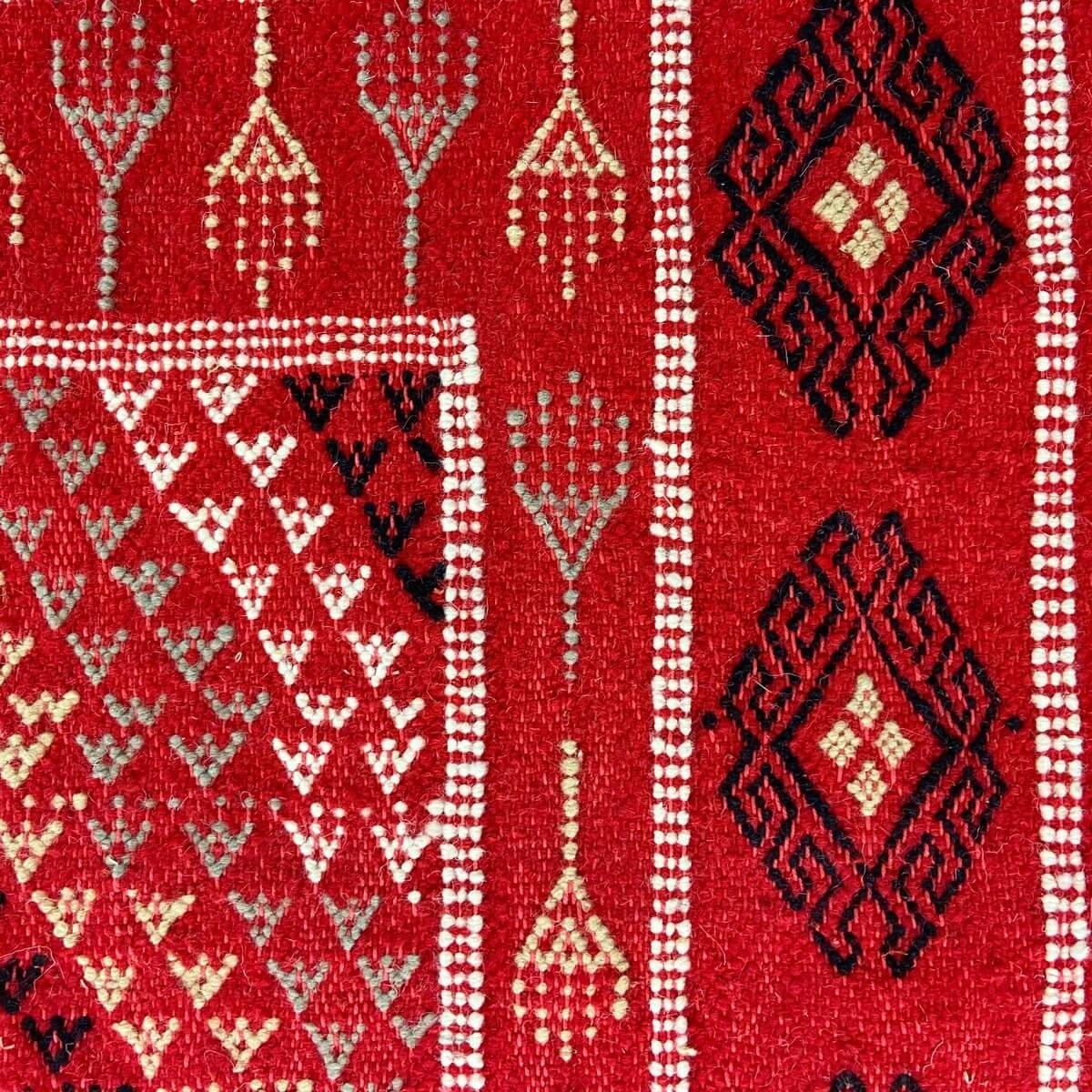 Berber Teppich Teppich Margoum Eklil 171x238 cm Rot (Handgefertigt, Wolle) Tunesischer Margoum-Teppich aus der Stadt Kairouan. R