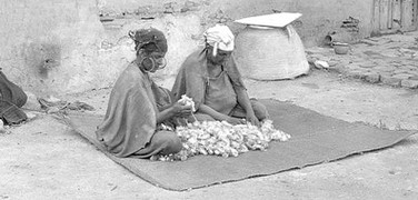 Preparación de la lana